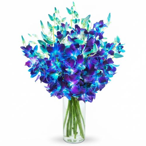 20 Blue Orchid Stems in a Glass Vase