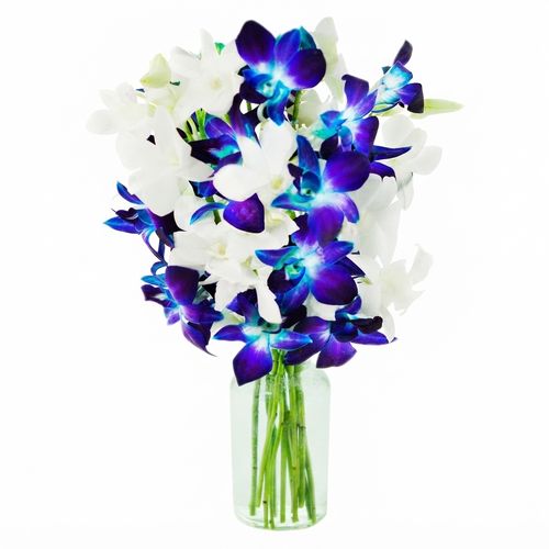 Blue and white orchid vase